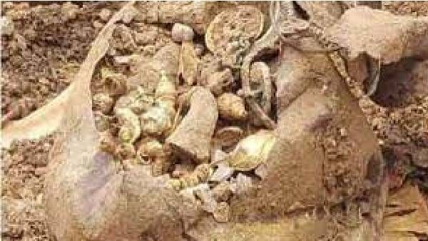 పొలంలో లభించిన బంగారు లంకె బిందె: హోంగార్డు ఎంట్రీ ఇచ్చి పంచేశాడు! కానీ..