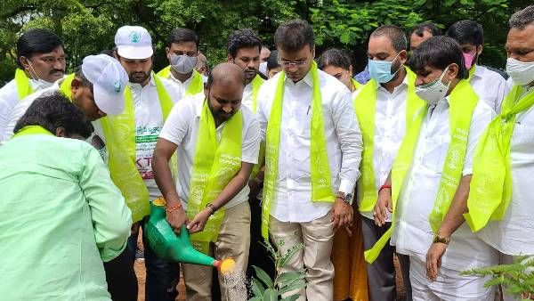 ముక్కోటి వృక్షార్చన: సిటీలో ఎన్ఆర్ఐ టీఆర్ఎస్ నేతలు బిజీ