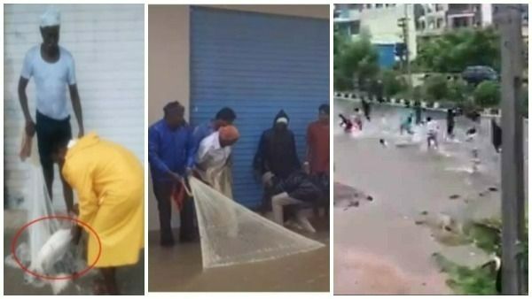 viral video: నిర్మల్ రోడ్లపై చేపల వేట -పరిస్థితిపై మంత్రికి సీఎం కేసీఆర్ ఫోన్ -మరో 24 గంటలు..
