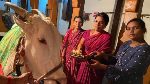 Cow: గోమాతకు సీమంతం, అచ్చం ఆడబిడ్డకు ఎలా చేస్తారో అలాగే, ఊరంతం పండగే, గ్రేట్ !