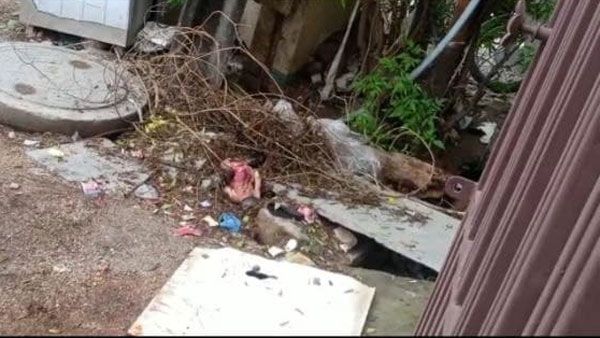 చెత్తకుప్పలో పసికందు మృతదేహం..తల్లి ఇంటర్ చదివే మైనర్ బాలిక ? ఈ పాపం ఎవరిది ?