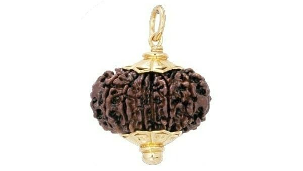 రుద్రాక్ష అంటే ఏమిటి.. రుద్రాక్షలను ఏ సమయాలలో ధరించకూడదు..?