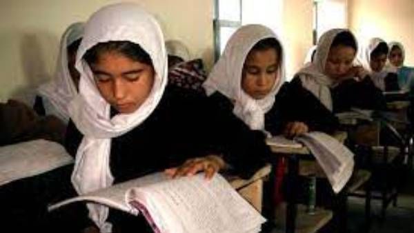 తాలిబన్ సర్కార్ లో తొలి ఫత్వా జారీ- స్కూళ్లలో కో ఎడ్యుకేషన్ నిషేధం-అన్ని అనర్ధాలకు మూలం