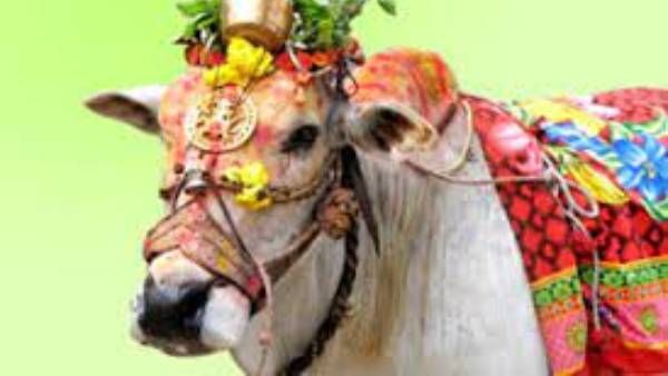 పొలాల అమావాస్య ఏంటి..? ఆడపిల్లలు సంతానంగా కావాలంటే ఏం చేయాలి..?