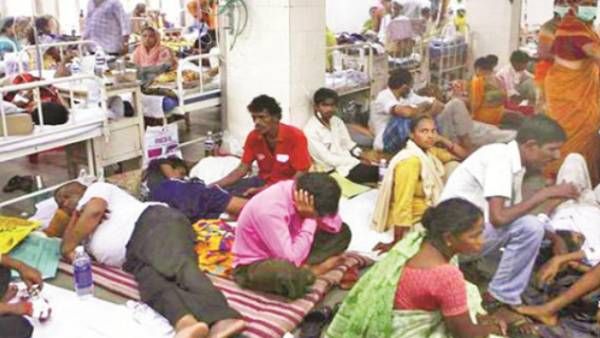 తెలంగాణలో విజృంభిస్తున్న డెంగ్యూ, మలేరియా: ఆస్పత్రుల్లో వేలాది మంది బాధితులు, అలర్ట్