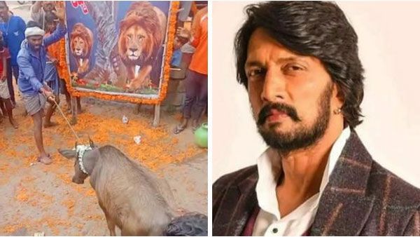 Birthday: రెండు సింహాల మద్యలో హీరో ఫోటోలు, పుట్టిన రోజు దున్నపోతును బలి ఇచ్చిన ఫ్యాన్స్, వైరల్!