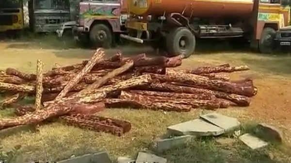 ఎర్ర చందనం స్మగ్లింగ్ లో మైనర్లు కూడా .. నెలరోజుల్లో రెండో ఘటన, తిరుపతిలో 21 మంది తమిళ స్మగ్లర్ల అరెస్ట్ !!