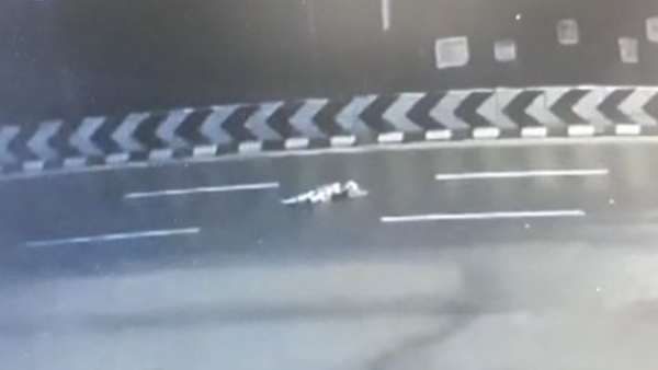 Aunty: ఆంటీని చంపేసి కారులో నుంచి హైవేలో విసిరేశారు, పక్కాప్లాన్, నుజ్జునుజ్జు, సీసీటీవీల్లో షాక్ !