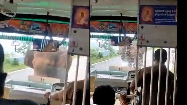 వామ్మో.. కోపంతో ఊగిపోయిన గజరాజు, బస్సు అద్దాలను పగులగొడుతూ.. బీభత్సం (వీడియో)