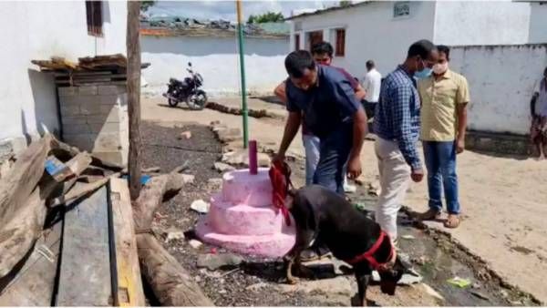 ఆ జెండా కోసం పోలీస్ జాగిలాలు, ఊరంతా టెన్షన్; ఏం జరిగిందో తెలిసి అవాక్కయిన జనాలు!!
