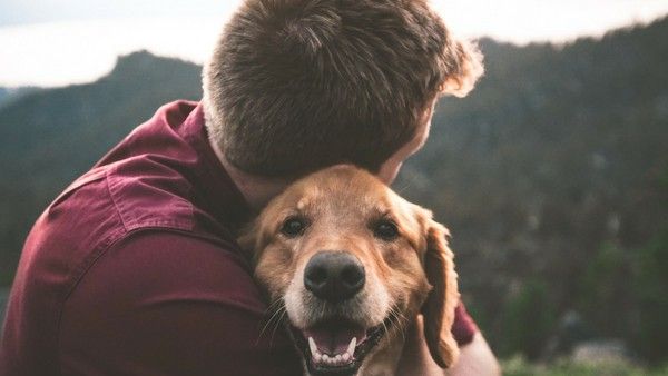 Must Read:పెంపుడు జంతువుల పెంపకం – వాస్తుకు సంబంధమేంటి..?