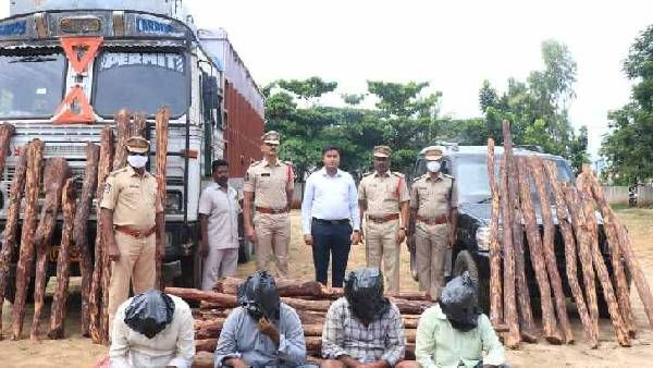 మోస్ట్ వాంటెడ్: అంతర్జాతీయ ఎర్ర చందనం స్మగ్లర్ రామనాథ రెడ్డిని పట్టుకున్న చిత్తూరు పోలీసులు!!