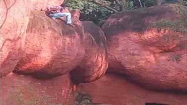 హైదరాబాద్ జూపార్క్‌: సింహం ఎన్‌క్లోజర్‌లోకి యువకుడు, అలా బయటపడ్డాడు (వీడియో)
