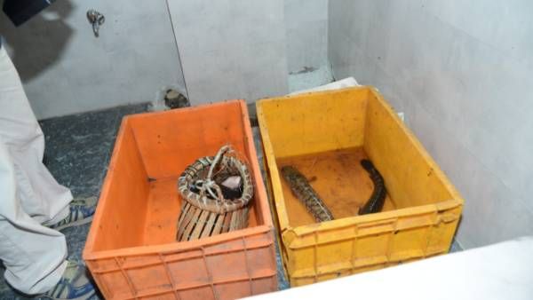 జీహెచ్ఎంసీ మరో వినూత్న కార్యక్రమం.!20కోట్లతో మోడల్ ఫిష్ మార్కెట్ల నిర్మాణం.!