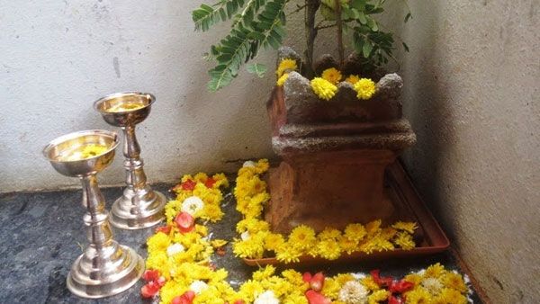  క్షీరాబ్ది ద్వాదశి అంటే ఏంటి..ఈ రోజు ప్రత్యేకత ఏంటి ఎలాంటి పూజలు చేయాలి?
