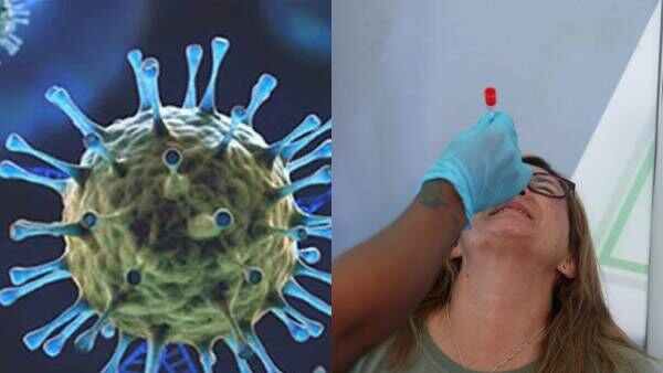 Omicron Virus : కరోనా వ్యాక్సిన్ మూడో డోస్ తీసుకోవాలా ? వద్దా ? తేల్చనున్న కేంద్రం