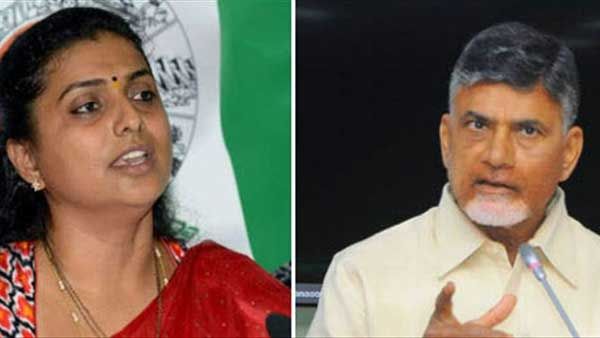 చంద్రబాబు.. జగన్ కు ఎన్నికల కమీషన్ కు సంబంధం ఏమిటో చెప్పాలి: ఎమ్మెల్యే రోజా రివర్స్ ఎటాక్