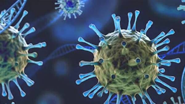 omicron virus : అంతర్జాతీయ విమాన టికెట్ల ధరలకు రెక్కలు-చాలా మార్గాల్లో రెట్టింపు వసూళ్లు