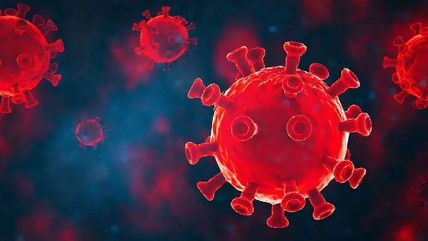 వ్యాక్సిన్‌కూ లొంగని కొత్త కరోనా వైరస్: 30 మ్యుటేషన్లు: ఆరు దేశాలకు విమాన సర్వీసులు రద్దు