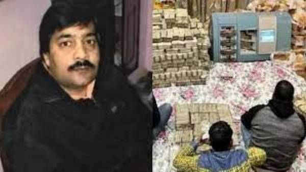 అత్తర్ వ్యాపారి ఇంట్లో గుబాళించిన నోట్ల కట్టలు.. రూ. 257 కోట్ల నగదు, కేజీల కొద్ది బంగారు సీజ్