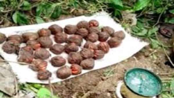 పత్తికొండలో భారీగా బాంబుల స్వాధీనం.. మళ్లీ ఫ్యాక్షన్ రాజుకుందా ?.. ఎవరిని హతమార్చేందుకు..?