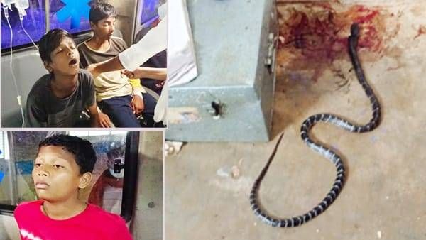 డిప్యూటీ సీఎం పుష్ప శ్రీవాణి ఇలాకాలో: హాస్టల్‌లో విద్యార్థులకు పాముకాటు: ఒకరి మృతి