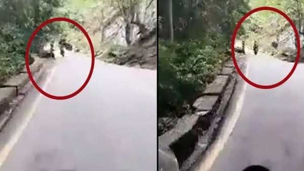 viral video:హతవిధి.. బైకర్‌పై పడిన బండరాయి, స్పాట్ డెడ్.. ఎక్కడ అంటే