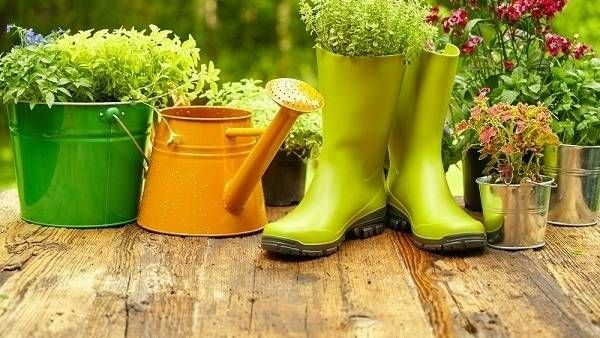 Vastu Tips: ఇంట్లో గార్డెనింగ్ కూ వాస్తు.. ఆ దిశలో చెట్లు పెంచితే అన్నీ అరిష్టాలే!!