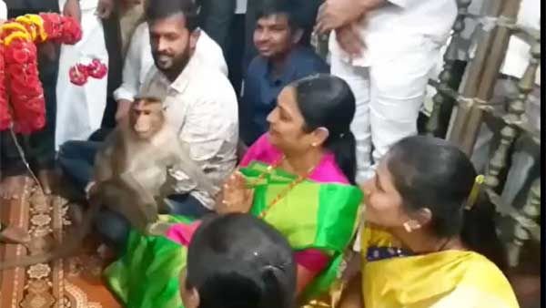 AP Minister Usha Sri Charan: మంత్రిపైకి ఎక్కి ఆశీర్వదించిన వానరం- అనంతలో ఘటన