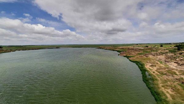 హుస్సేన్ సాగర్ లా జంట జలాశయాలు మారతాయి; న్యాయపోరాటం చేస్తామన్న పర్యావరణవేత్తలు