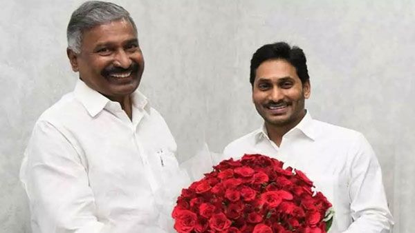 పెద్దిరెడ్డి చేతిలో 62 నియోజకవర్గాలు - మిధున్ కి డిసైడింగ్ ఏరియా : సీఎంకు నమ్మకమా- అనివార్యమా....!!