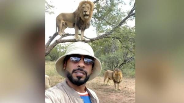 viral video: వీడు మాములోడు కాదు.. సింహాలతో సెల్ఫీ, ఎక్కడ, ఎవరంటే...?