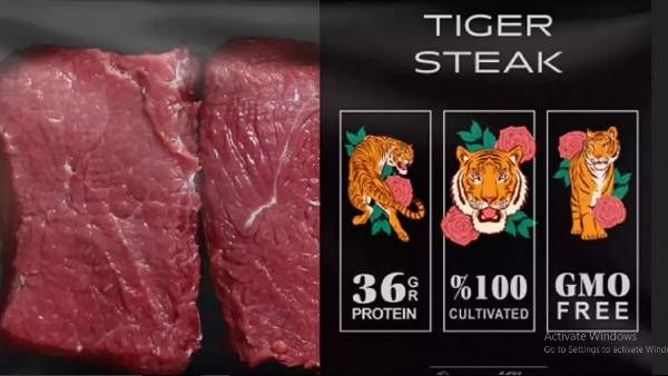 సింహం, పులి మాంసం.. త్వరలో అందుబాటులోకి, ఎక్కడ, ఎలా అంటే..?