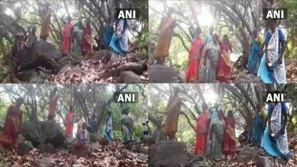 చావే మాకు శరణ్యం.. జీడితోటలలో ఉరికి సిద్ధమైన గిరిజన మహిళలు; షాకింగ్ వీడియో!!