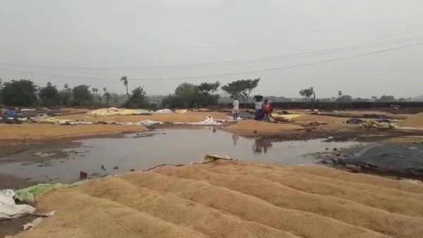 అన్నదాతను ఆగం చేస్తున్న అకాల వర్షాలు: తెలంగాణ జిల్లాల్లో భారీ వర్షాలు, ఈరోజు కూడా