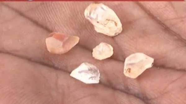 తొలకరి వర్షాలతో ఆ ప్రాంతాల్లో సంబరం.. రాయలసీమ జిల్లాలలో వజ్రాల అన్వేషణ ఆరంభం!!