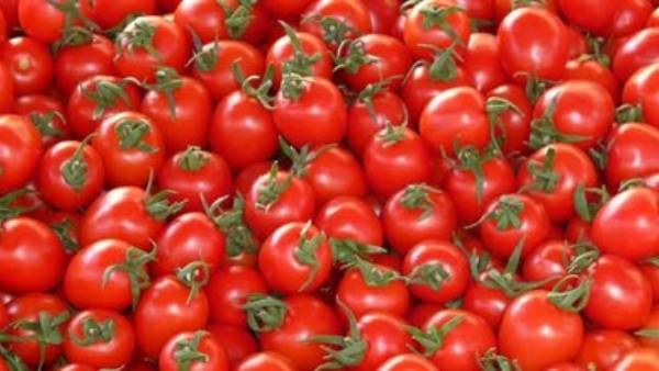 కొండెక్కిన టమాట.. సిటీలో కిలో రూ.100.. ఏపీలో కూడా..