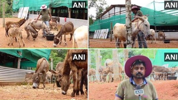 సాఫ్ట్‌వేర్ ఉద్యోగానికి బై బై.. గాడిదల పెంపకంతో రూ. లక్షలు సంపాదిస్తున్నాడు!