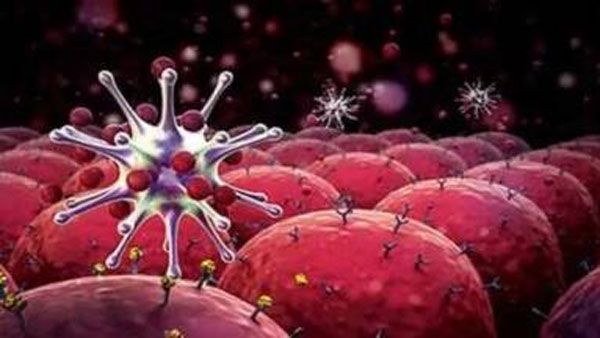 Dostarlimab: ట్రయల్స్‌లోనే కేన్సర్‌ను ఖతం చేసిన డ్రగ్: వైద్యచరిత్రలో అద్భుతంగా