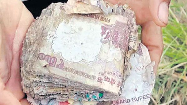 రైతు పొలం దున్నుతుండగా బయటపడ్డ నోట్ల కట్టలు: సంతోషం క్షణాల్లో అవిరి!