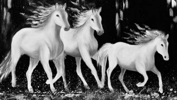 vastu tips: ఇంట్లో గుర్రాల బొమ్మలు పెట్టొచ్చా.. వాస్తు, ఫెంగ్ షుయ్ ఏం చెప్తుంది?