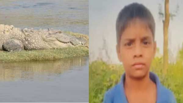 Crocodile Attack: బాలుడిని నదిలోకి లాక్కెళ్లిన మొసలి.. ఎక్స్ రే తీయించిన అధికారులు.. తర్వాత ఏం జరిగిందంటే..