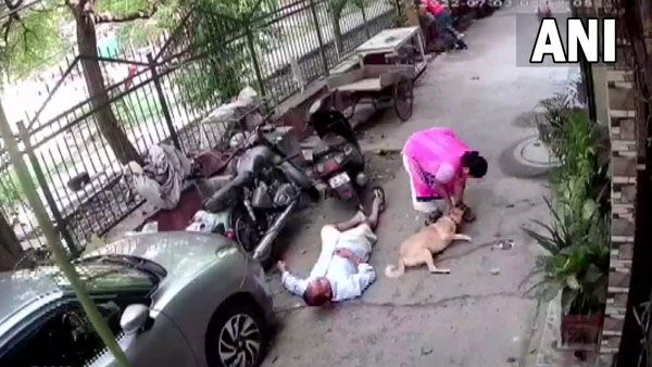 పెంపుడు కుక్క మొరిగిందని.. కుటుంబంపై ఇనుపరాడ్ తో దాడిచేసిన వ్యక్తి.. షాకింగ్ వీడియో వైరల్!!