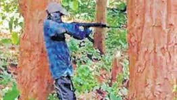 మావోయిస్టుల సరికొత్త వ్యూహం.. గడ్డిబొమ్మలు, చెక్క తుపాకీలతో.. కూంబింగ్ పోలీసులపై కొత్త స్కెచ్