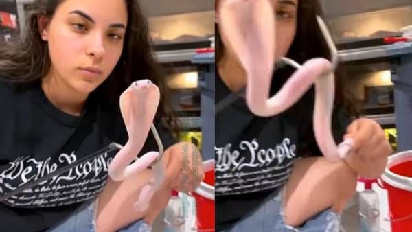 Viral video: వామ్మో ఇదేం పాము.. నేనెక్కడ చూల్లే.. వైరల్ అయిన వీడియో..