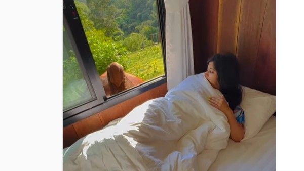 viral video:హోటల్ గదిలో నిద్రలో మహిళ.. కిటికీల్లోంచి అనుకొని అతిథి, వెకప్ కాల్..