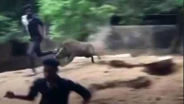 విశాఖ జూలో ఆకతాయిల వెకిలీ చేష్టలు.. వీడియోలు తీసి షేర్, కేసు