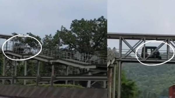 viral video:ఏందీ సామీ ఇదీ.. ఇదీ ఫుట్ ఓవర్ బ్రిడ్జా అనుకున్నావా..? లేక