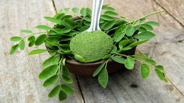 Drumstick Leaves Benefits: షుగర్ తో బాధపడుతున్నారా.. అయితే మునగ ఆకుతో ఇలా చేయండి..