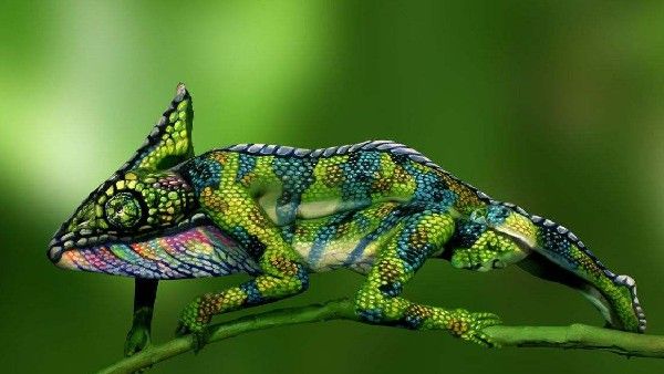 Optical Illusions: ఈ చిత్రంలో ఏముందో గుర్తించండి.. అదీ 10 సెకండ్లలోనే..